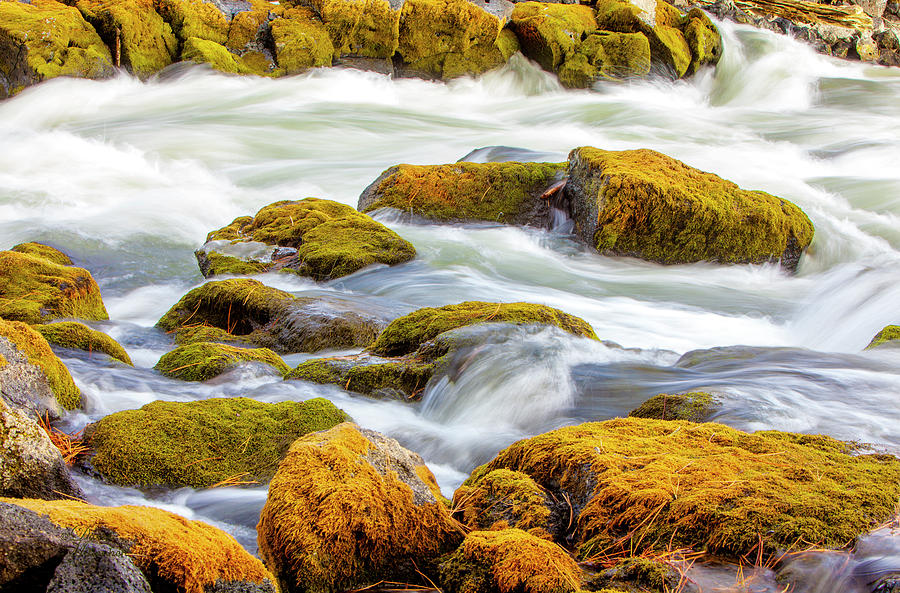 Big Eddy Deschutes River Oregon Art Print by David Millenheft Big Eddy Deschutes River Oregon Art Print by David Millenheft