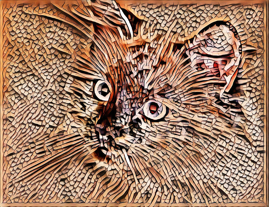 Big Eyed Kitty Digital Art by Don Northup