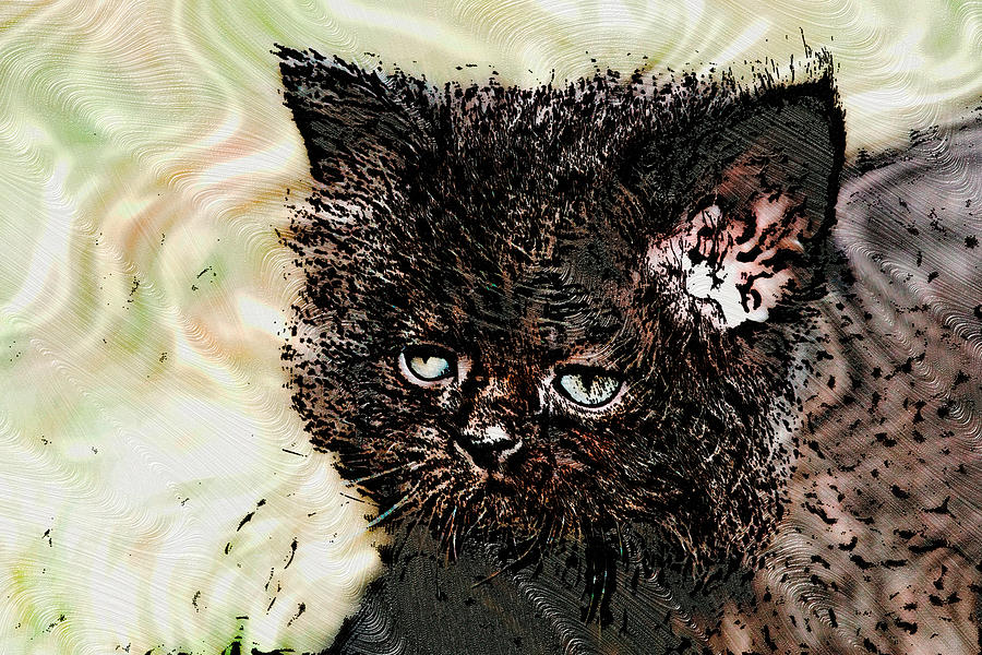 Big Face Kitty Digital Art by Don Northup