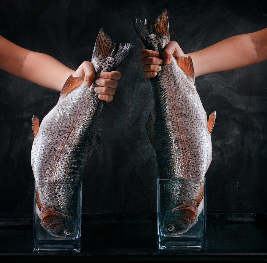 Fish Photograph - Big Fish by Golubeva Nataly