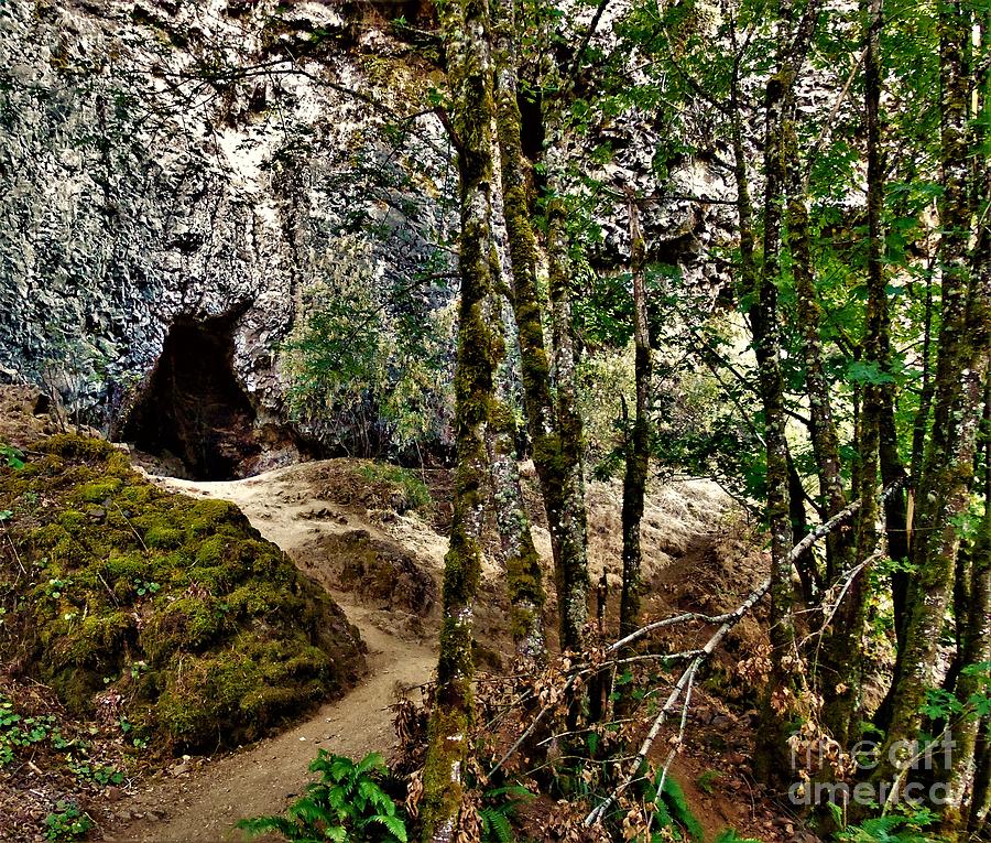 Big Foot Cave , Oregon Photograph by Larry Campbell