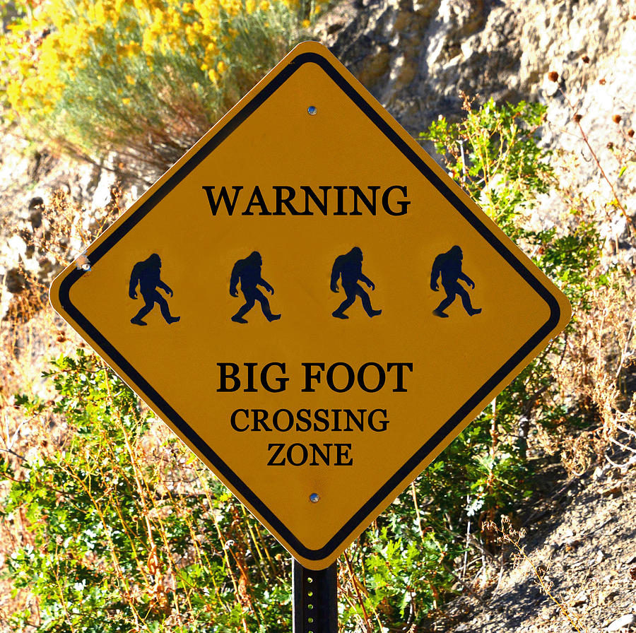 Big Foot Crossing Zone Sign Photograph