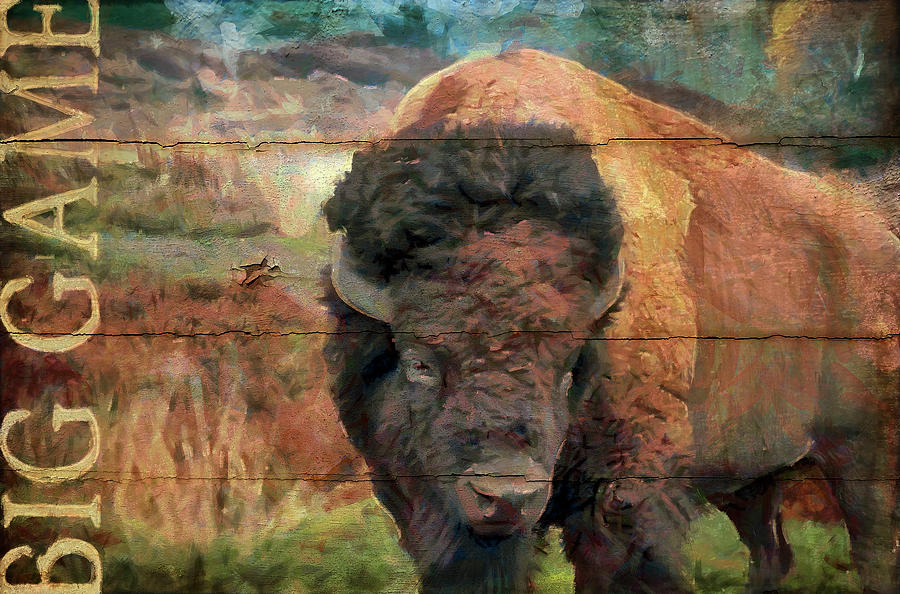 Bison Photograph - Big Game Bison by Cora Niele