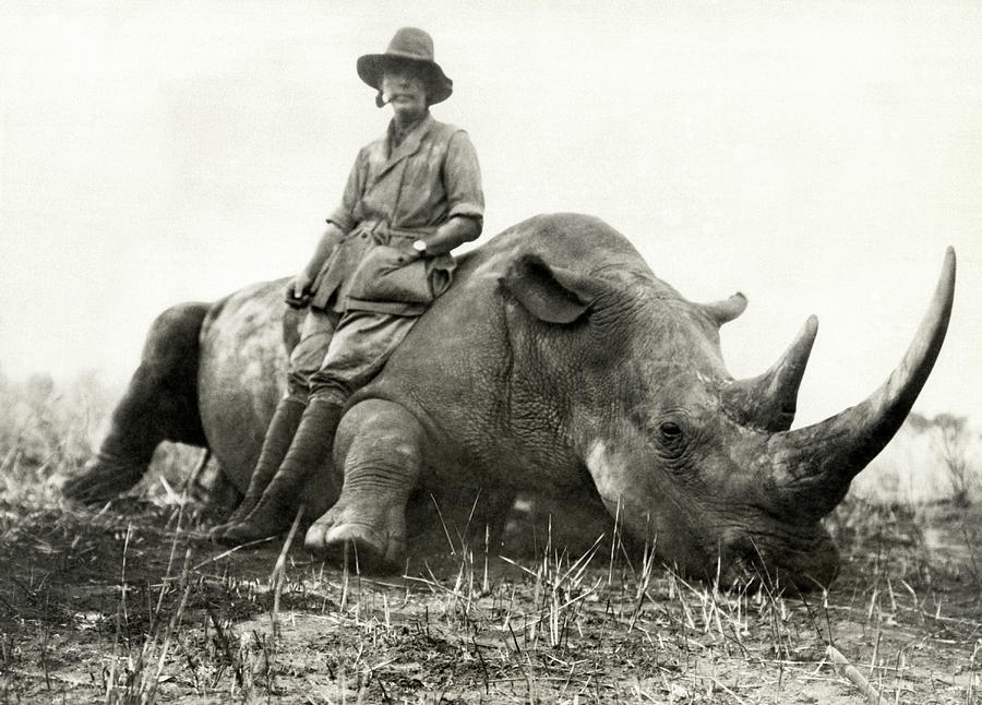 Big Game Hunter Photograph by Underwood Archives