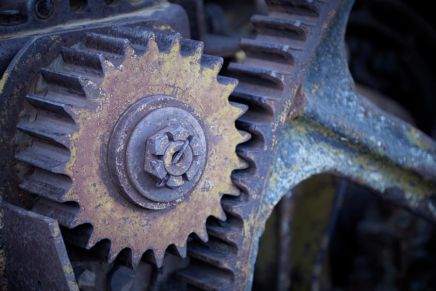 Big Gears Photograph by Paul Freidlund