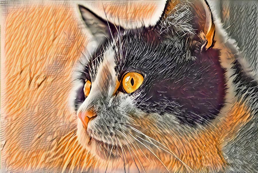 Big Head Tuxedo Cat Beautiful Eyes Digital Art by Don Northup