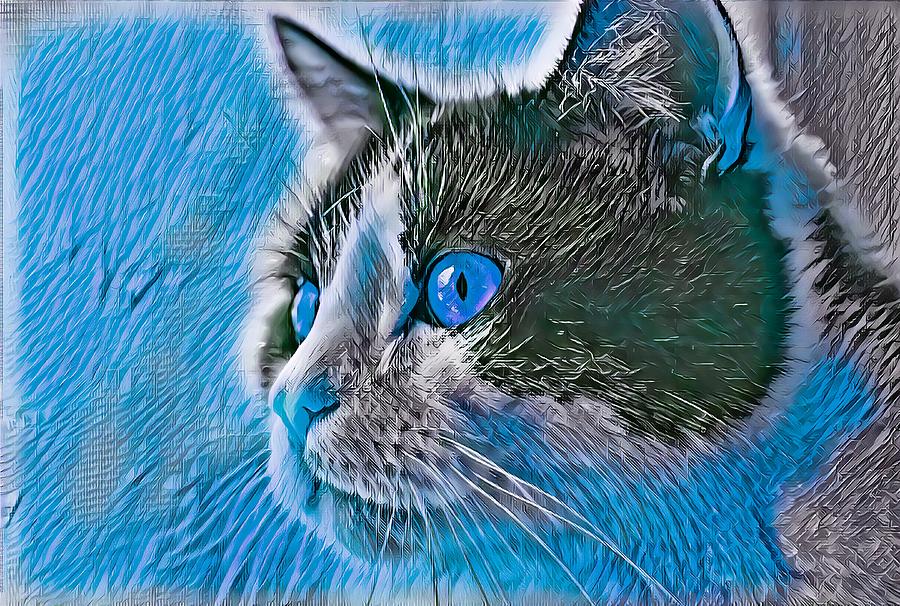 Big Head Tuxedo Cat Blue Eyes Digital Art by Don Northup