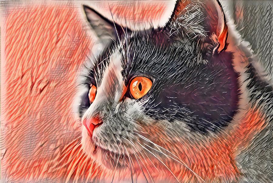 Big Head Tuxedo Cat Orange Eyes Digital Art by Don Northup