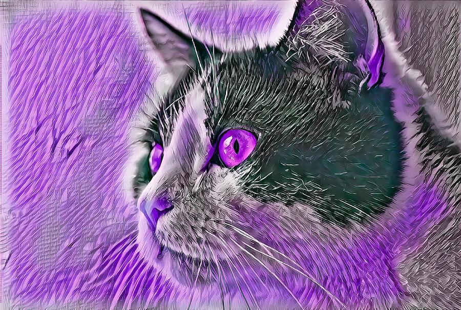 Big Head Tuxedo Cat Purple Eyes Digital Art by Don Northup