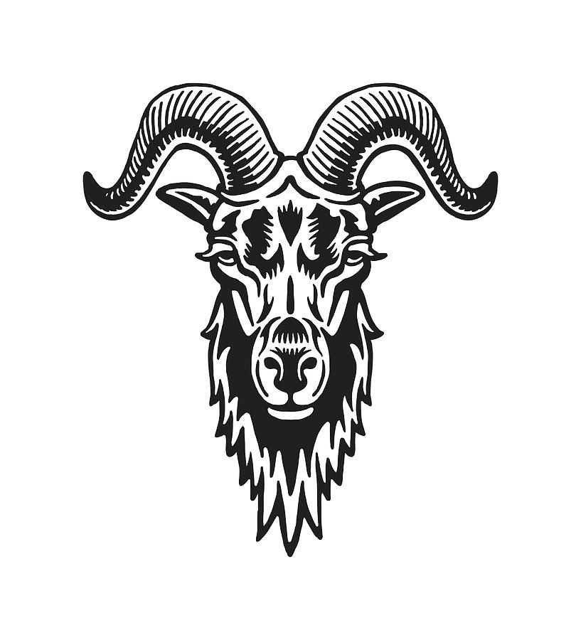 Black And White Drawing - Big Horned Goat by CSA Images