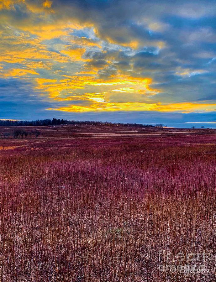 Big Meadows Sunset Photograph