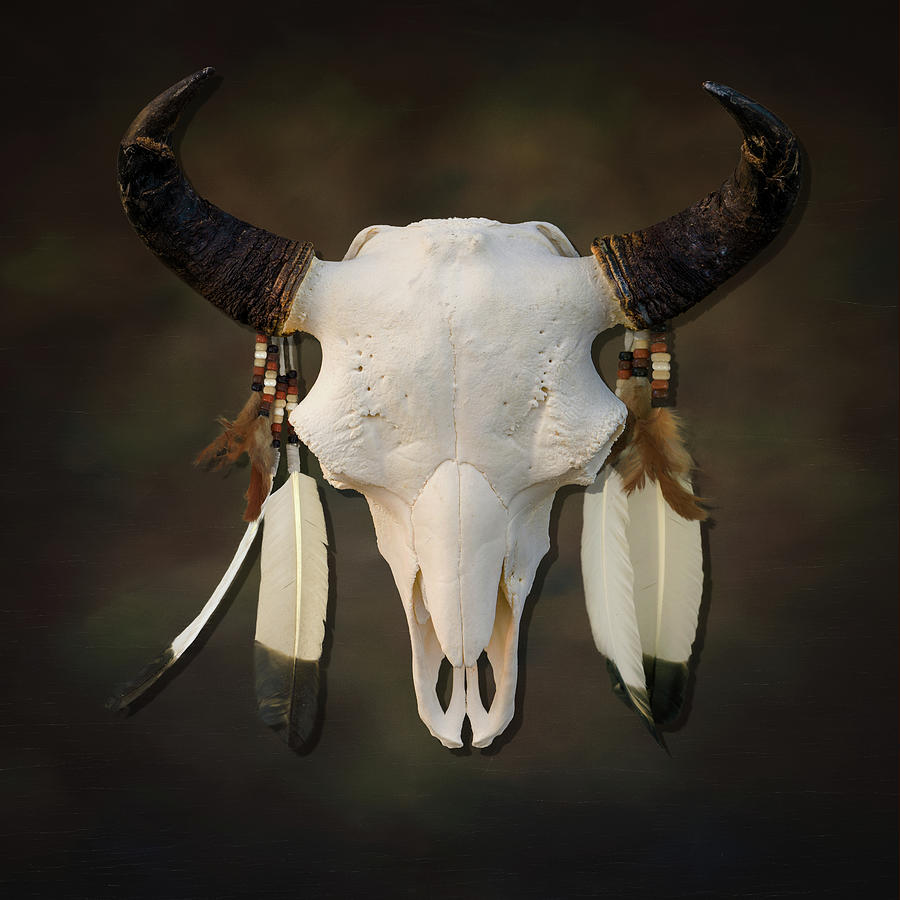Big Medicine. American Bison Skull Photograph by TL Mair