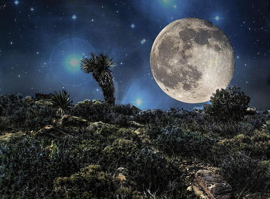 Big Moon In The Desert Photograph by Photoviewplus