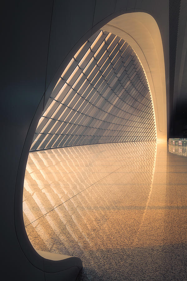 Architecture Photograph - Big "harp" by Mei Xu