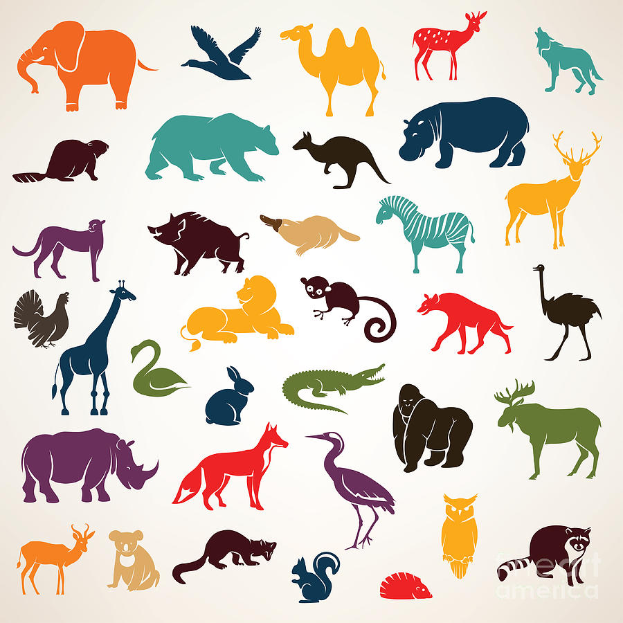 Big Digital Art - Big Set Of African And European Animals by Baldyrgan Big Digital Art - Big Set Of African And European Animals by Baldyrgan