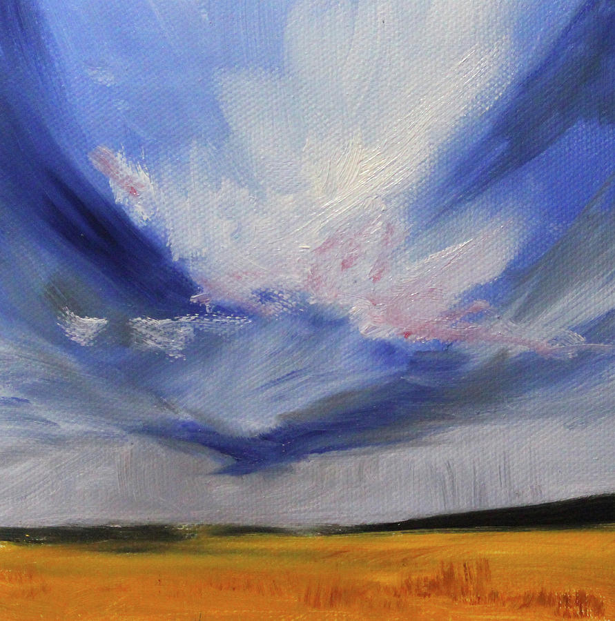 Big Sky Painting by Nancy Merkle