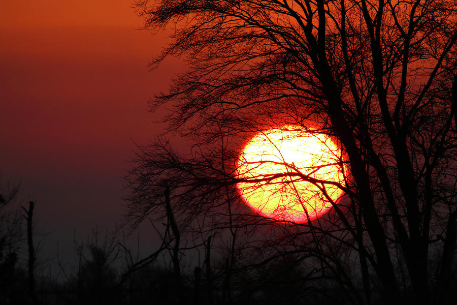 Big Sun Up Photograph by Brook Burling