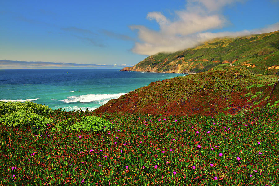 Big Sur Spring Photograph by Greg Norrell