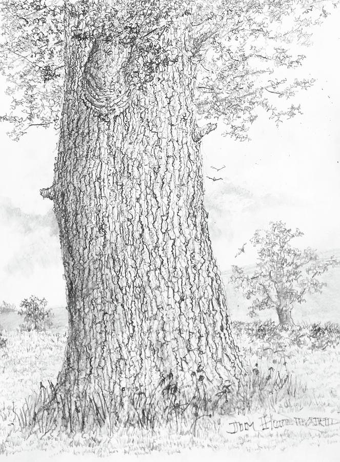 large tree sketch
