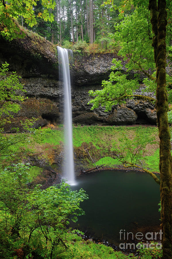 Big Waterfall Photograph by Steve Triplett