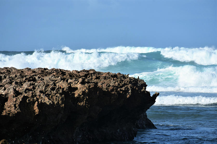 Big Wave Season Photograph