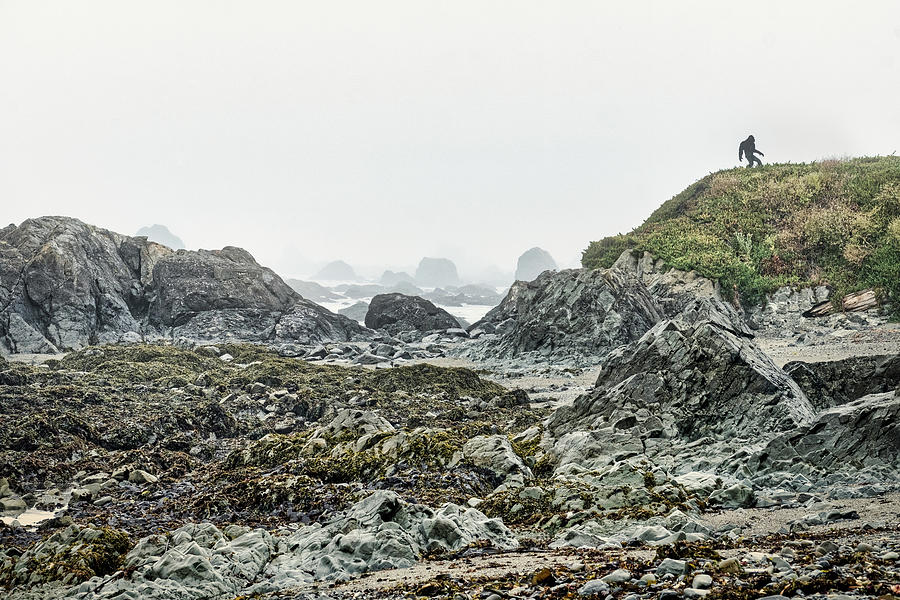 Bigfoot Photobombs Seascape Photograph by Stuart Litoff