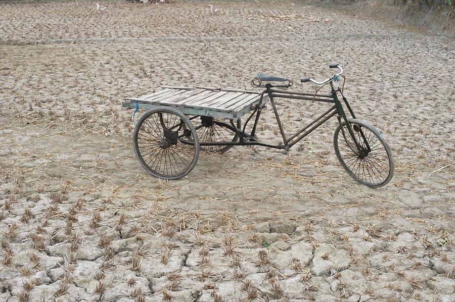 Bike On Dry Paddy Field Photograph by A K Kaarsberg