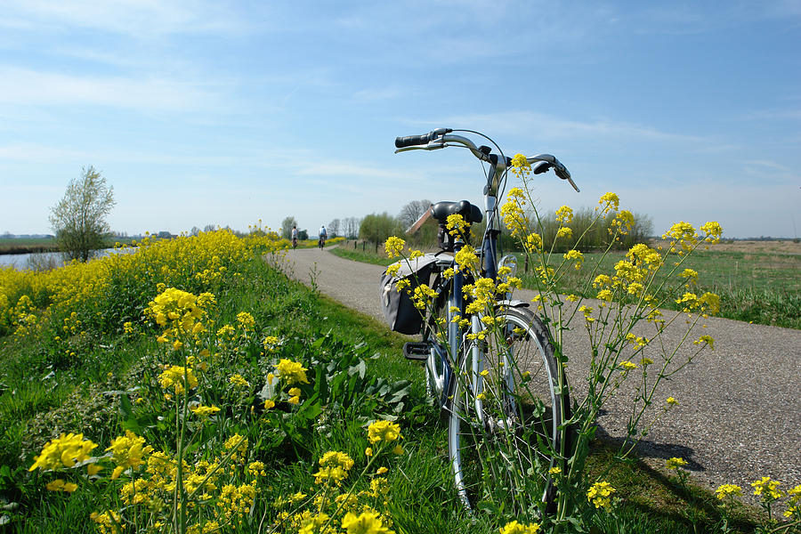 Bike On The Dike Photograph by Mgfoto Bike On The Dike Photograph by Mgfoto