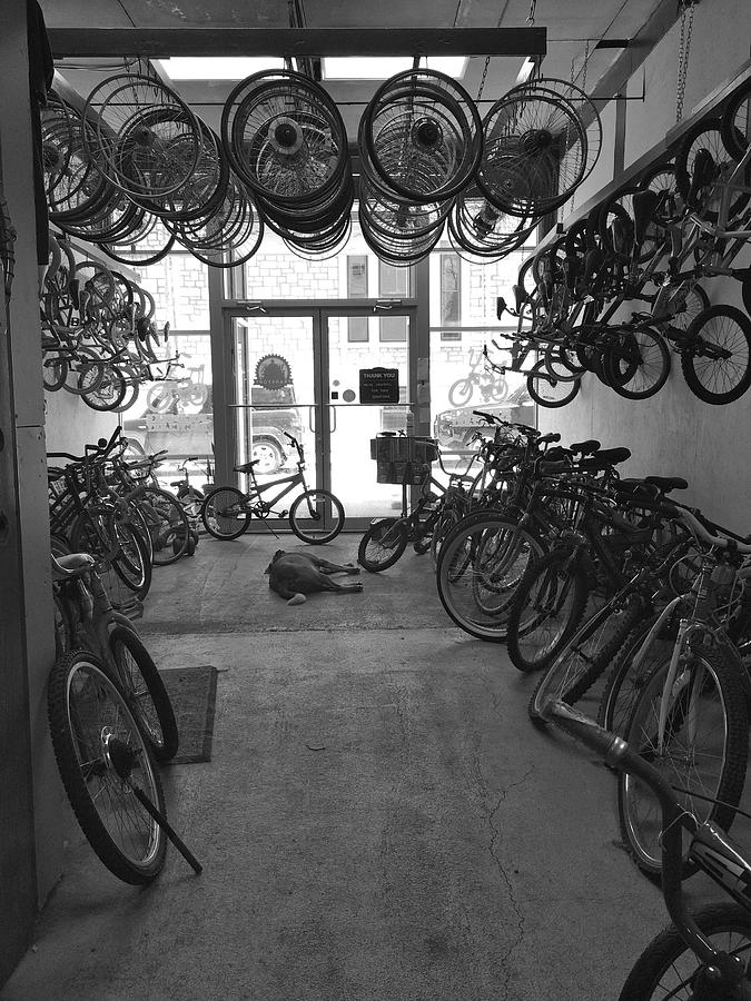 frankfort bike shop