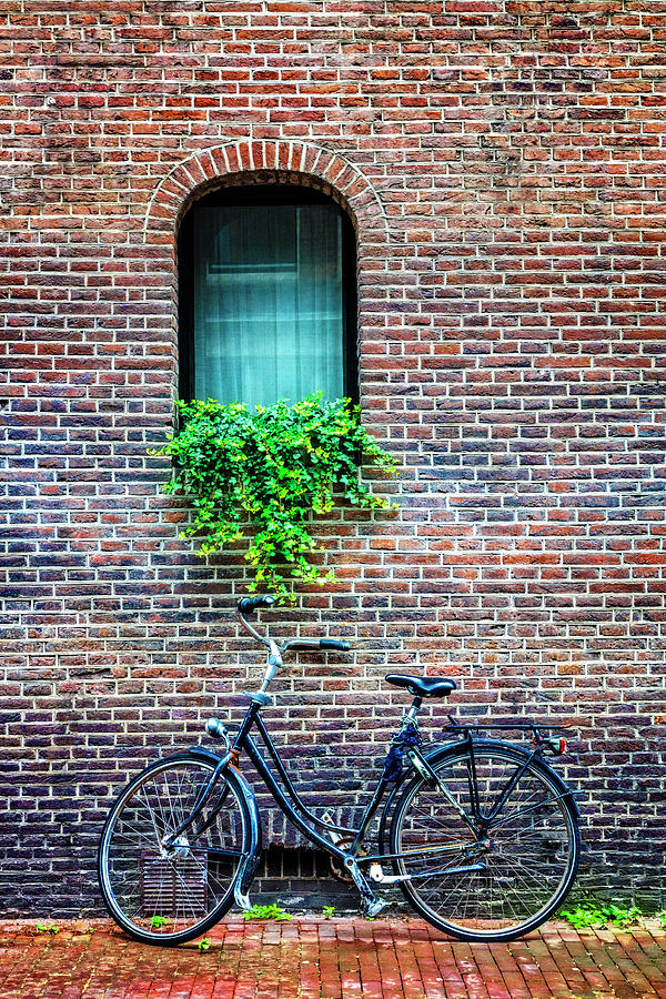 Bike Under the Window Photograph by Debra and Dave Vanderlaan