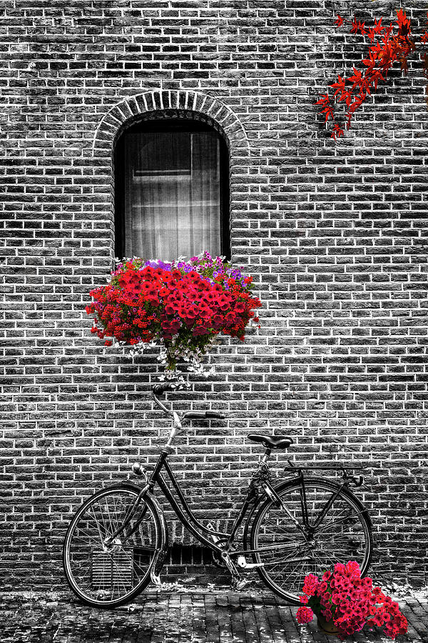 Bike Under the Window in Black and White with Red Color Selected Photograph by Debra and Dave Vanderlaan