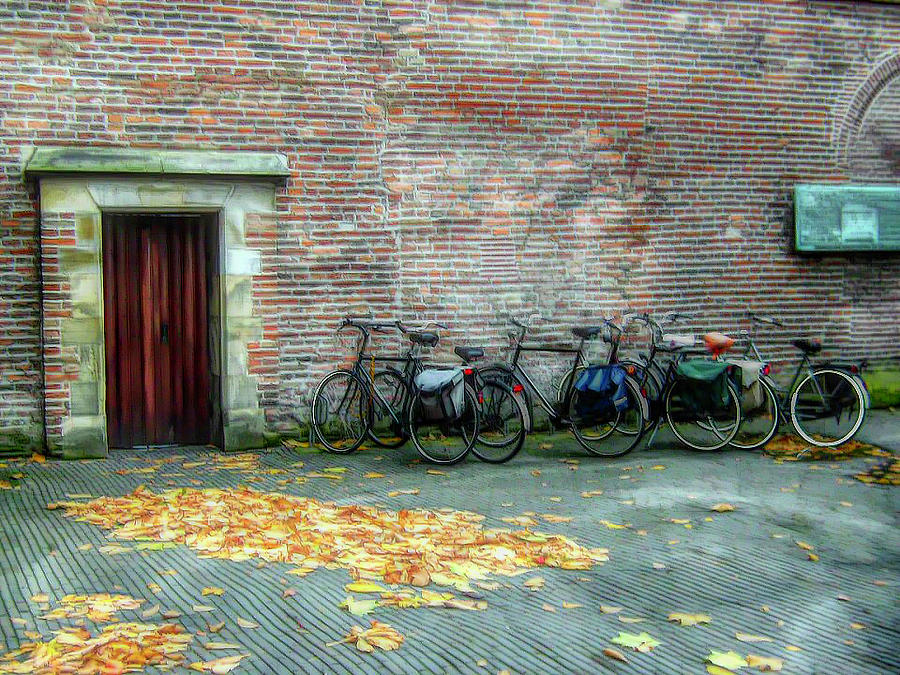 Bikes in Amsterdam Photograph by Alison Frank