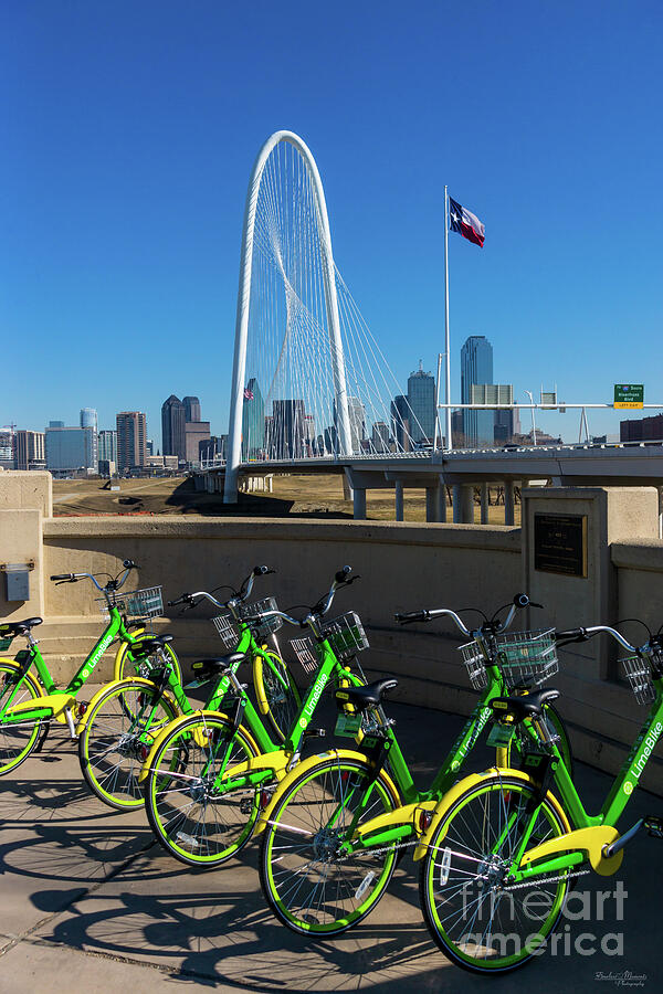 Bikes In Dallas Photograph by Jennifer White