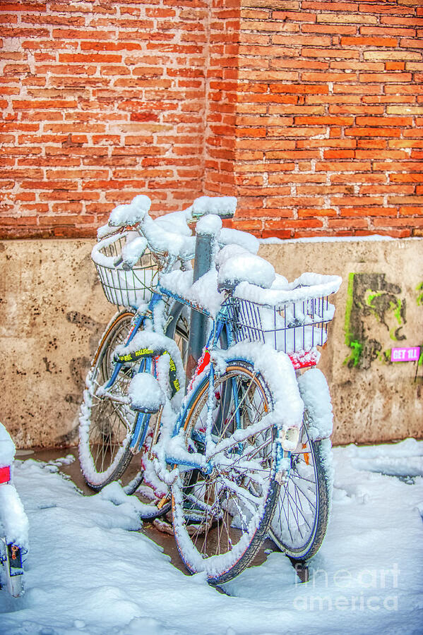 Bikes In The Snow - Christmas Gift Photograph by Stefano Senise