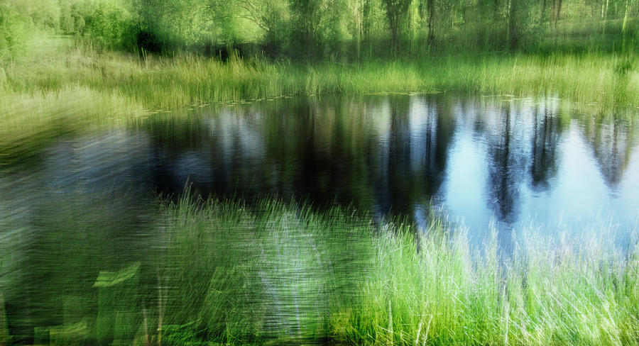 Billabong by Linde Townsend Billabong by Linde Townsend