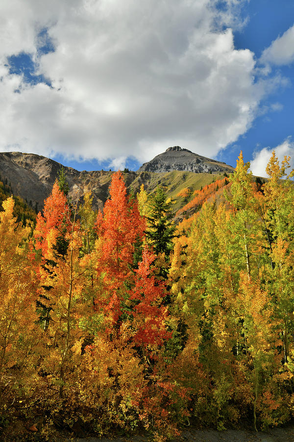 Billowing Clouds and Beautiful Aspens at Red Mountain Pass Photograph by Ray Mathis