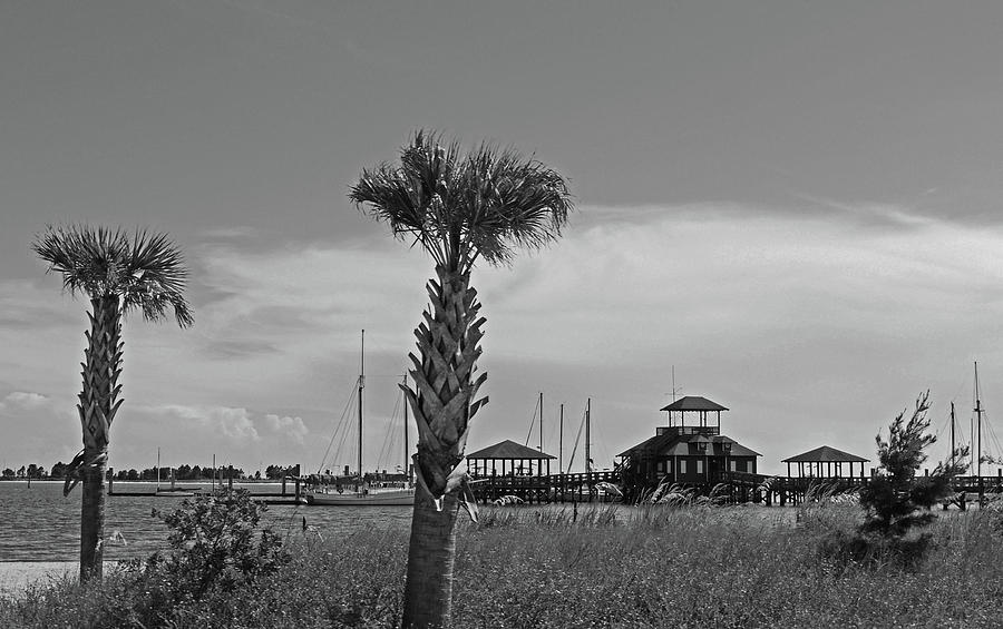 Biloxi Schooner Pier in Black and White Digital Art by Marian Bell ...