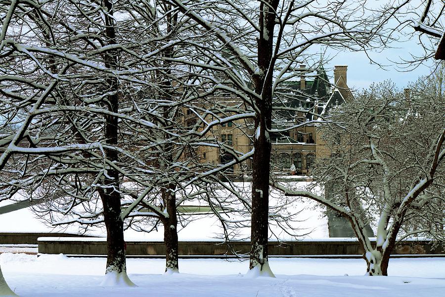Biltmore Behind The Snow Covered Trees Photograph by Carol Montoya