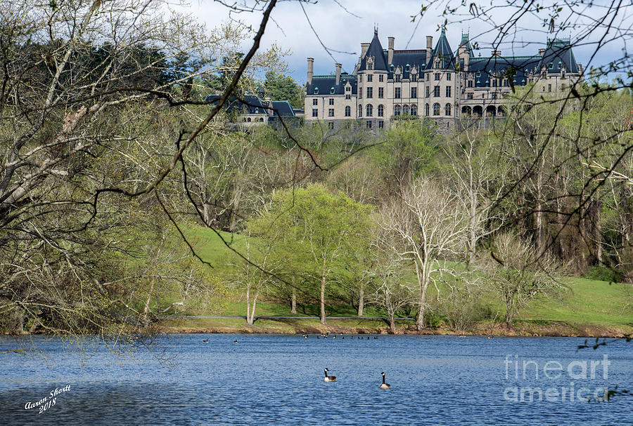 https://images.fineartamerica.com/images/artworkimages/mediumlarge/2/biltmore-lagoon-view-aaron-shortt.jpg