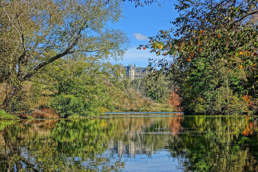 Biltmore Reflections on the Lagoon Photograph by Patricia Caron