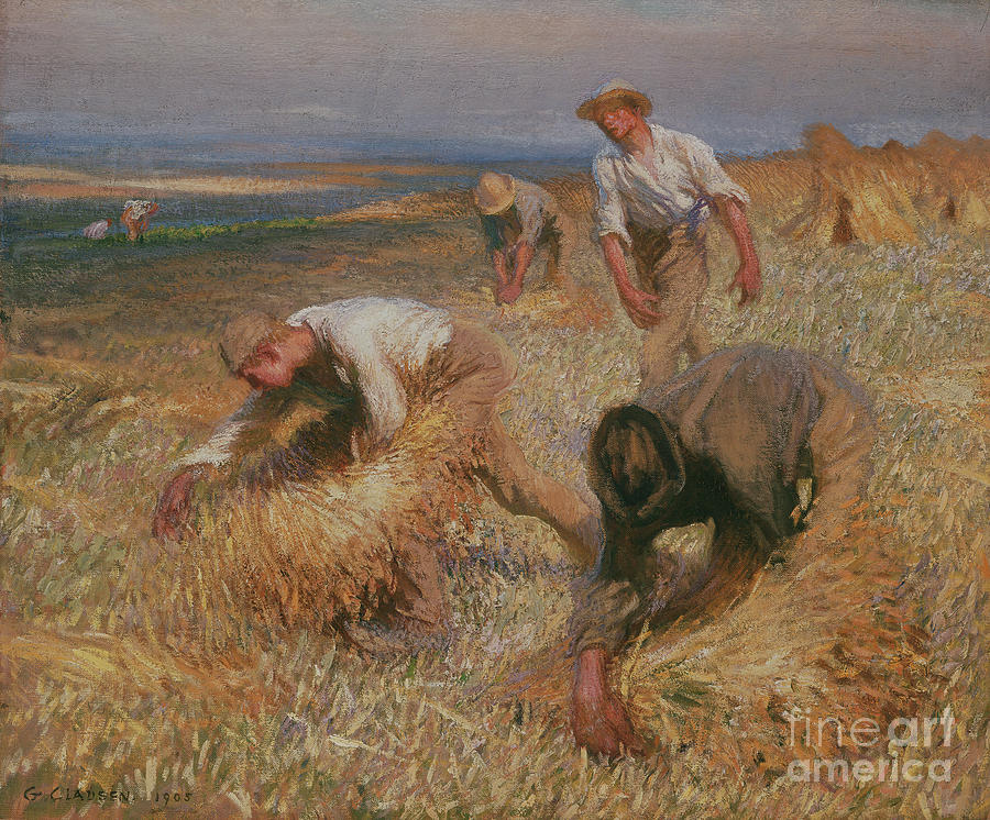 Binding Sheaves, 1905 Painting By George Clausen - Fine Art America