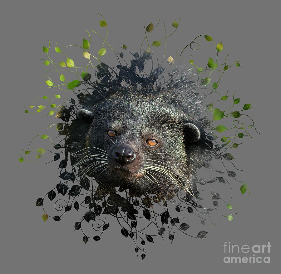 Binturong Looking Trough The Leaves Mixed Media