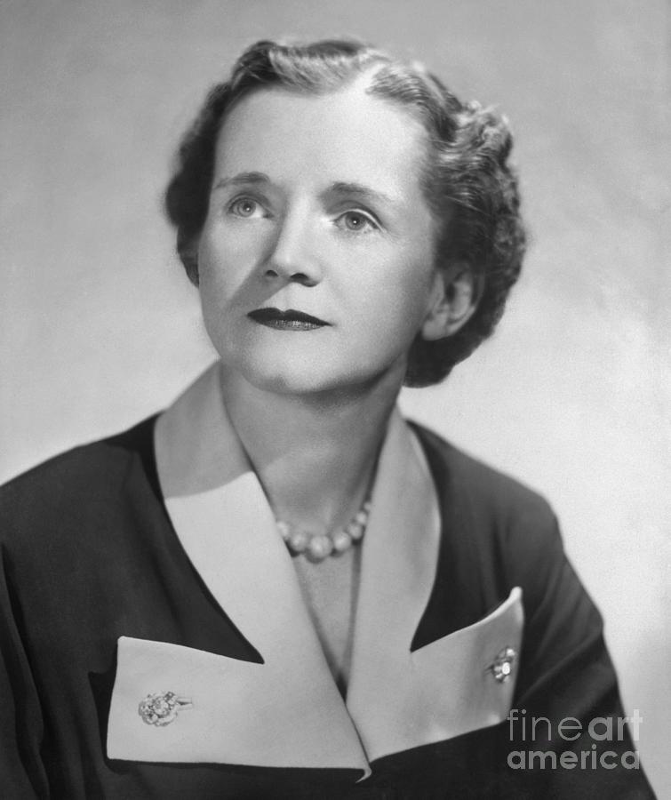 Biologist And Author Rachel Carson Photograph by Bettmann