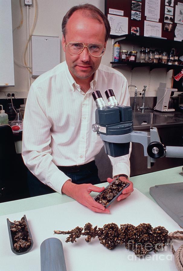 Biologist Photograph by Peter Yates/science Photo Library