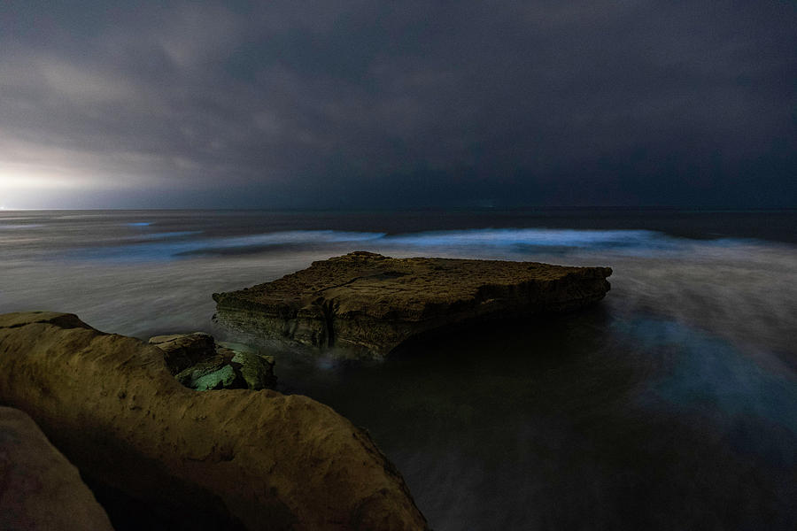  Bioluminescence at Flat Rock Photograph by Scott Cunningham
