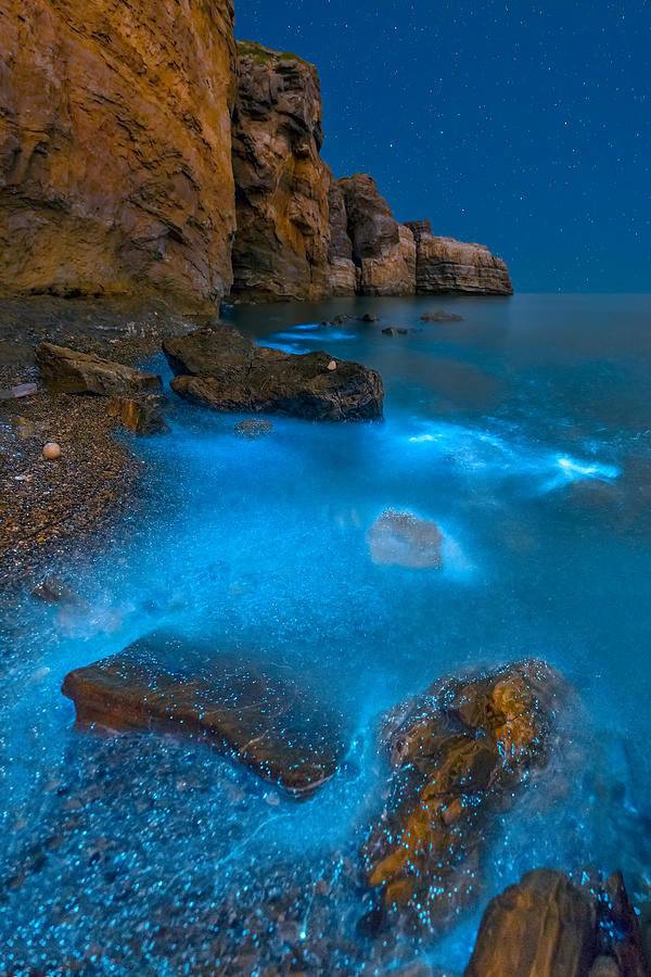 Bioluminescent Photograph - Bioluminescent Bay by Hua Zhu