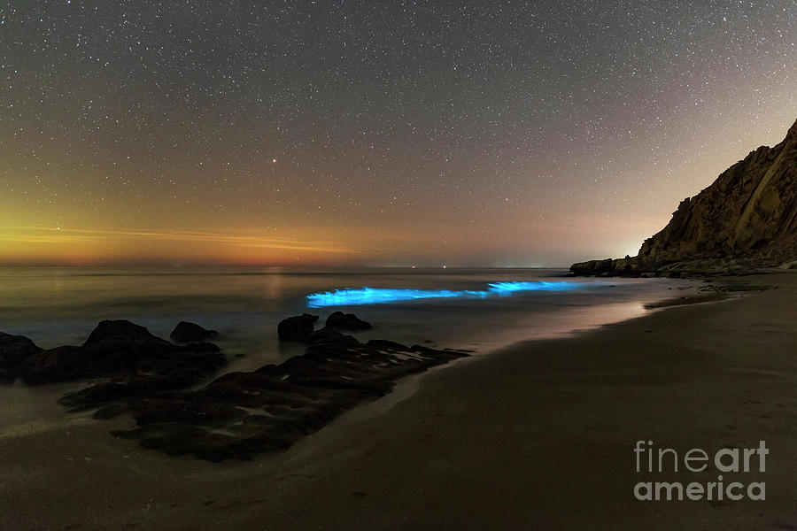 Bioluminescent Plankton In Persian Gulf Photograph by Amirreza Kamkar / Science Photo Library
