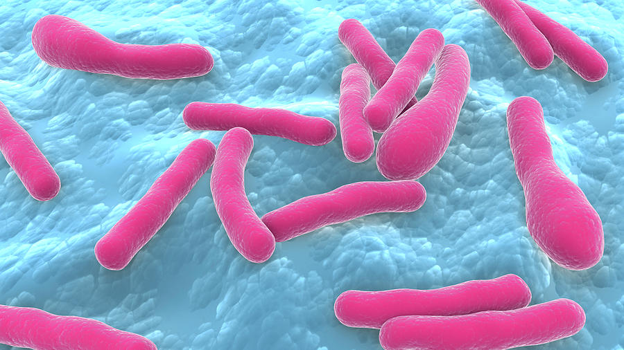 Biomedical Illustration Of Clostridium Photograph by Stocktrek Images