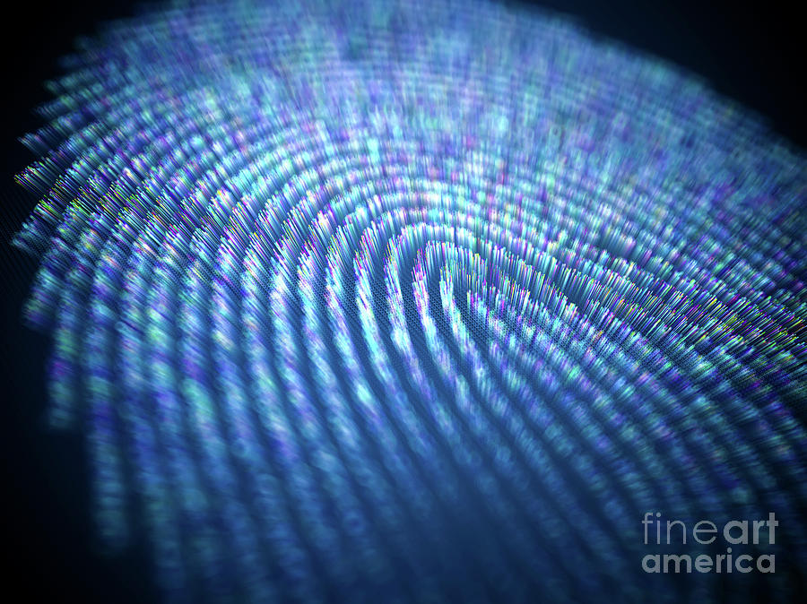 Biometric Authentication Photograph by Ktsdesign/science Photo Library