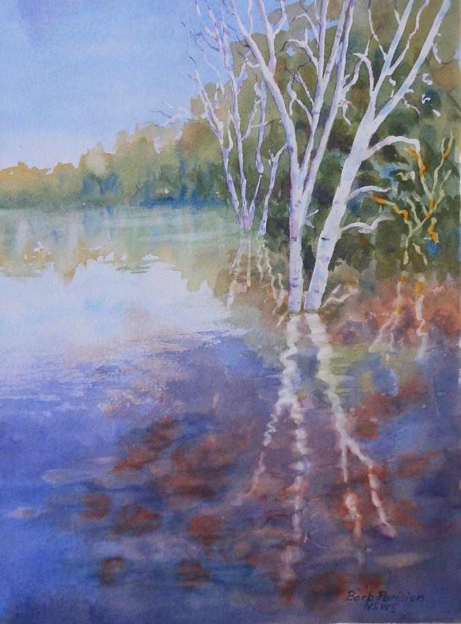 Birch in Water Painting by Barbara Parisien